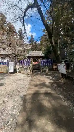 下野 星宮神社の{uncategorized: "未分類", other: "その他", undefined: "問題あり", building: "その他建物", grave: "お墓", sacred_gate: "鳥居", guardian: "狛犬", statue: "像", buddha: "仏像", history: "歴史", nature: "自然", garden: "庭園", animal: "動物", pagoda: "塔", temizu: "手水舎", mountain_gate: "山門・神門", sanctuary: "本殿・本堂", subordinate: "末社・摂社", art: "芸術", scenery: "景色", jizo: "地蔵", ema: "絵馬", goshuin: "御朱印", omikuji: "おみくじ", items: "授与品その他", amulet: "お守り", goshuincho: "御朱印帳", eats: "食事", festival: "お祭り", votive_dance: "神楽", shichigosan: "七五三参", wedding: "結婚式", experience: "体験その他", initially: "初詣", around: "周辺", anti_infection: "感染症対策"}
