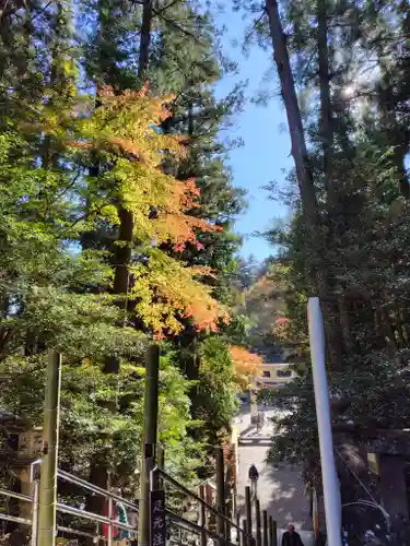 宝登山神社(埼玉県)