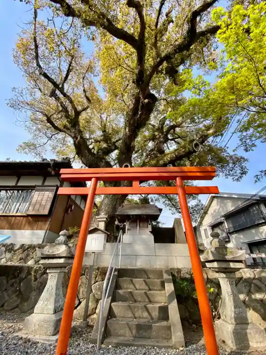 大神社(芳養王子跡)の鳥居