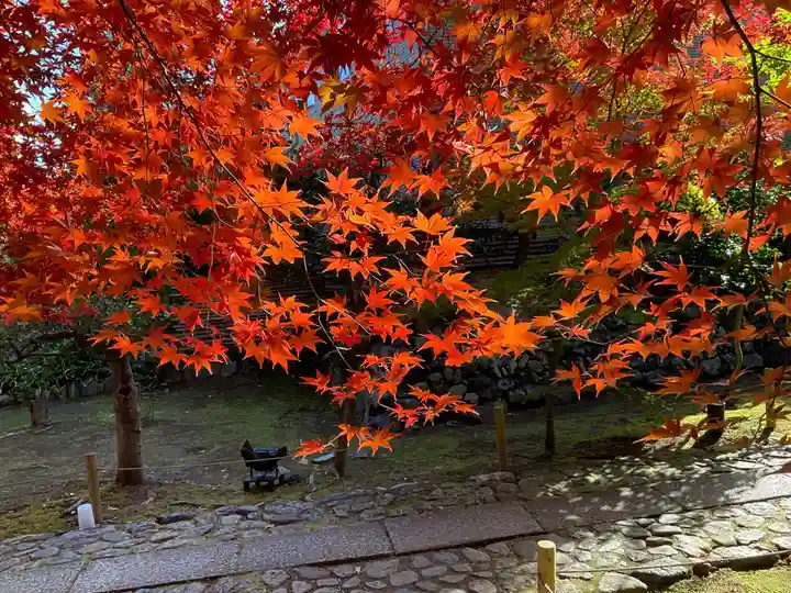 鹿王院(京都府)
