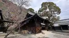 事代主神社(徳島県)