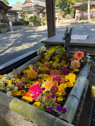 大鳥神社の手水舎