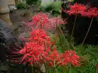 西光寺のその他建物