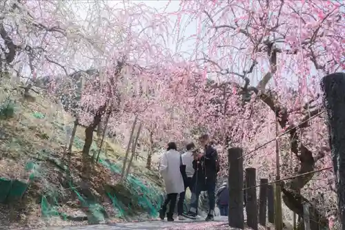 大縣神社の自然