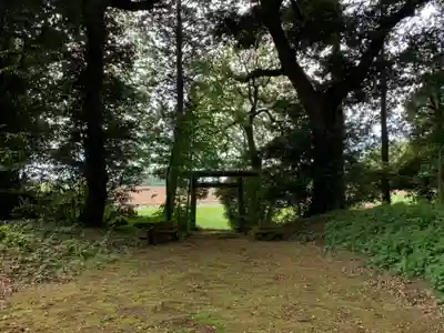 白幡大神・四社大神(千葉県)