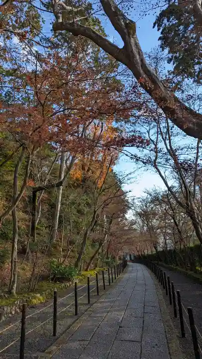 光明寺(粟生光明寺)(京都府)