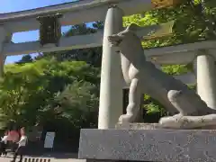 三峯神社の狛犬