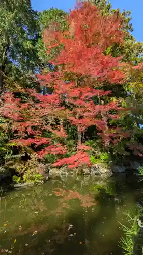 善峯寺(京都府)