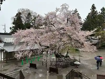 高麗神社(埼玉県)