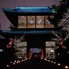 大樹寺（松安院大樹寺）の山門