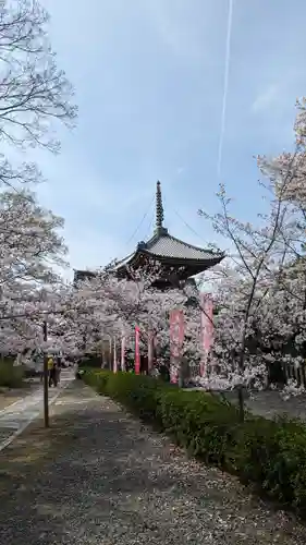 本法寺(京都府)