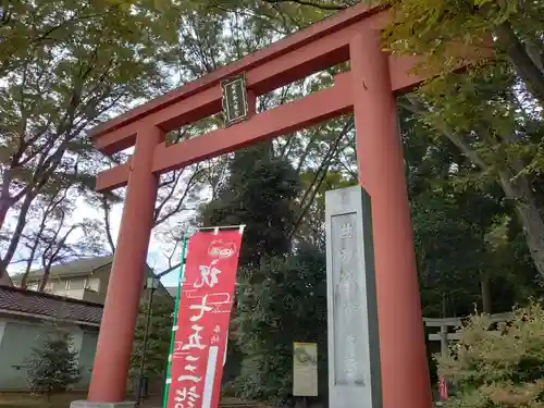 世田谷八幡宮の鳥居