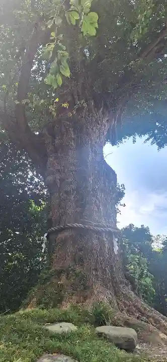 荏柄天神社(神奈川県)