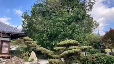 印空寺(京都府)