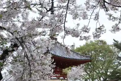 喜多院の{uncategorized: "未分類", other: "その他", undefined: "問題あり", building: "その他建物", grave: "お墓", sacred_gate: "鳥居", guardian: "狛犬", statue: "像", buddha: "仏像", history: "歴史", nature: "自然", garden: "庭園", animal: "動物", pagoda: "塔", temizu: "手水舎", mountain_gate: "山門・神門", sanctuary: "本殿・本堂", subordinate: "末社・摂社", art: "芸術", scenery: "景色", jizo: "地蔵", ema: "絵馬", goshuin: "御朱印", omikuji: "おみくじ", items: "授与品その他", amulet: "お守り", goshuincho: "御朱印帳", eats: "食事", festival: "お祭り", votive_dance: "神楽", shichigosan: "七五三参", wedding: "結婚式", experience: "体験その他", initially: "初詣", around: "周辺", anti_infection: "感染症対策"}