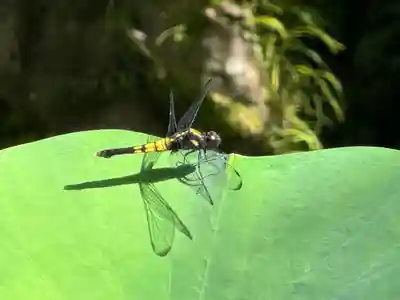 伊勢の国 四天王寺(三重県)