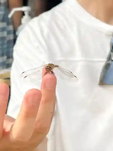 西方寺(宮城県)