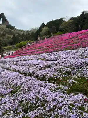 若杉稲荷大明神(兵庫県)