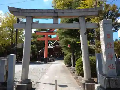 日枝神社の鳥居