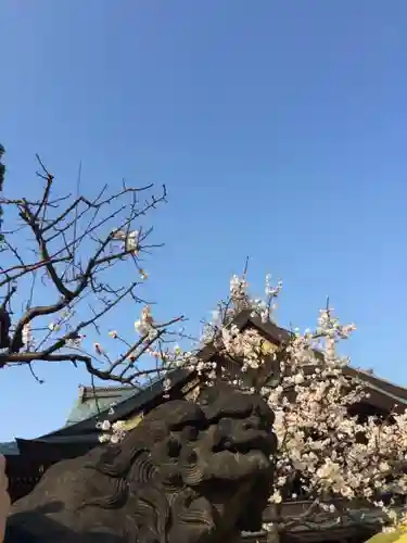 湯島天満宮の狛犬