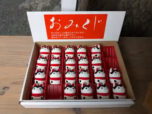 札幌諏訪神社のおみくじ