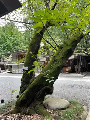 乃木神社(東京都)