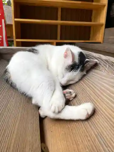 真野寺(千葉県)