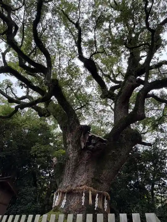 熱田神宮(愛知県)