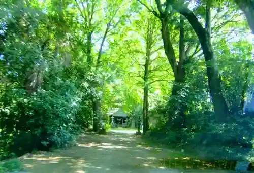 子安神社の自然