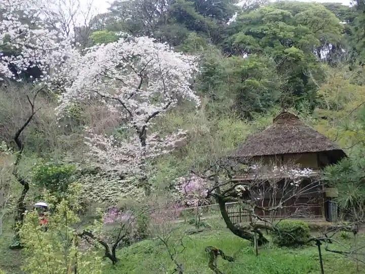 根岸八幡神社(神奈川県)