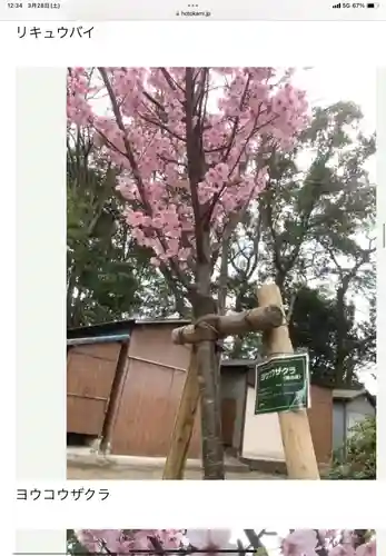 富部神社(愛知県)
