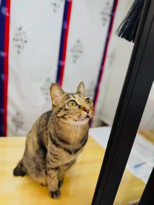 守りの神 藤基神社(新潟県)