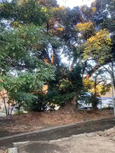 五霊神社(神奈川県)