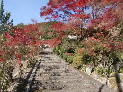 玉龍寺(岐阜県)