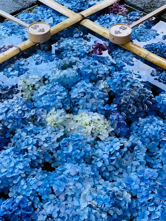 土津神社|こどもと出世の神さまの手水舎