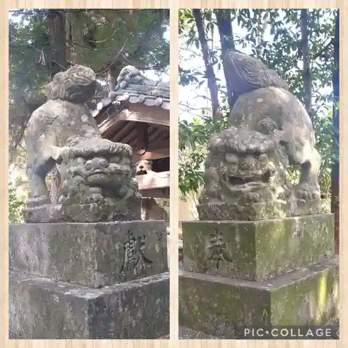 朝倉神社の狛犬