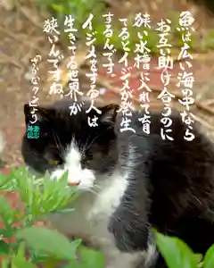 専念寺(大阪府)(2022年10月10日(月) 20時47分14秒投稿)