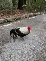 熱田神宮の{uncategorized: "未分類", other: "その他", undefined: "問題あり", building: "その他建物", grave: "お墓", sacred_gate: "鳥居", guardian: "狛犬", statue: "像", buddha: "仏像", history: "歴史", nature: "自然", garden: "庭園", animal: "動物", pagoda: "塔", temizu: "手水舎", mountain_gate: "山門・神門", sanctuary: "本殿・本堂", subordinate: "末社・摂社", art: "芸術", scenery: "景色", jizo: "地蔵", ema: "絵馬", goshuin: "御朱印", omikuji: "おみくじ", items: "授与品その他", amulet: "お守り", goshuincho: "御朱印帳", eats: "食事", festival: "お祭り", votive_dance: "神楽", shichigosan: "七五三参", wedding: "結婚式", experience: "体験その他", initially: "初詣", around: "周辺", anti_infection: "感染症対策"}