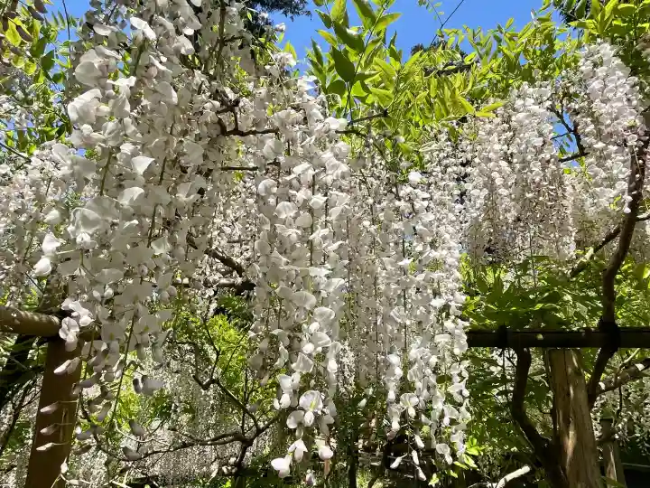 歌泉堂(春日大社神苑萬葉植物園内鎮座)(奈良県)