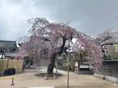 善正寺(宮城県)