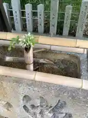 富部神社の手水