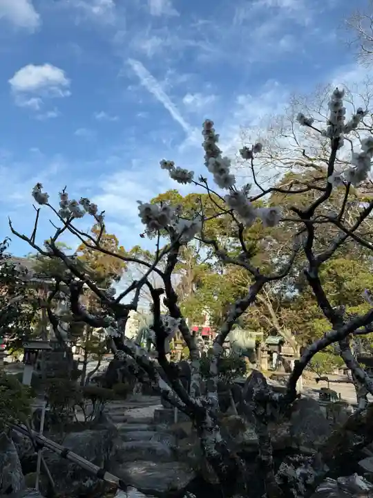 大井神社(静岡県)