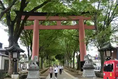 武蔵一宮氷川神社の鳥居