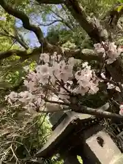 生田神社の自然