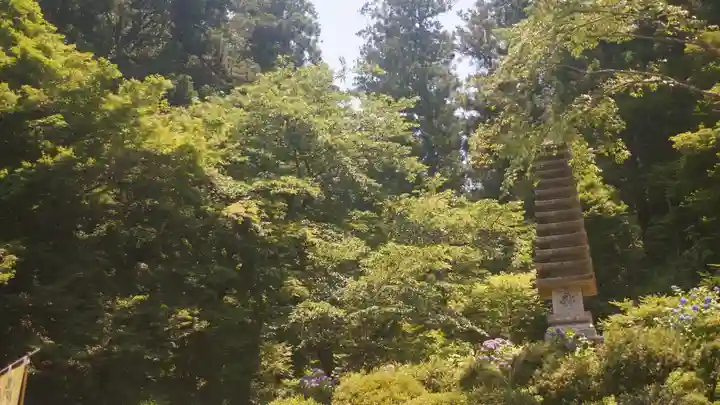 岡寺(龍蓋寺)(奈良県)