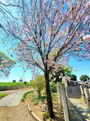 満福寺(栃木県)