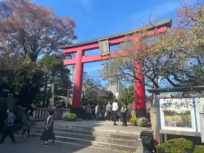 亀戸天神社の鳥居