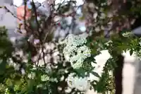 三津厳島神社(愛媛県)