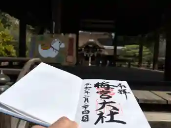 梅宮大社の御朱印 2026年03月