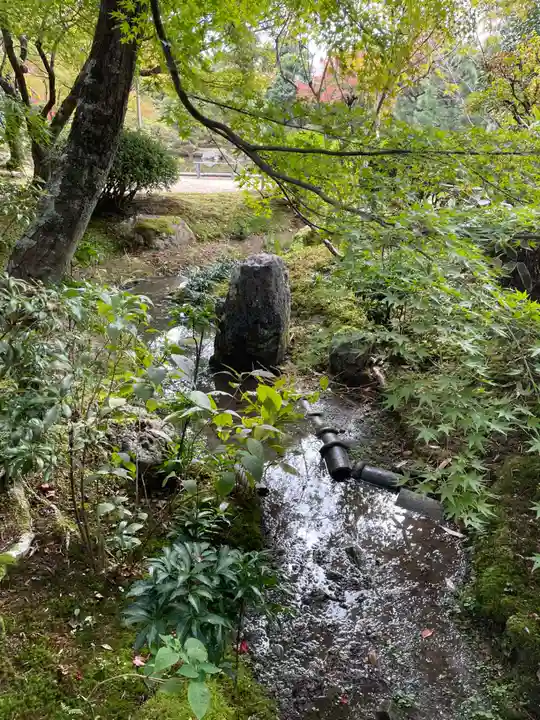 法金剛院(京都府)